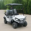 Premium 48V Electric Small Golf Cart for Sale 2 Seater Golf Buggy